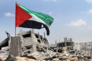46 منظمة دولية تنتقد سياسات المجتمع الدولي في اعمار غزة