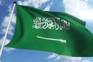 السعودية: على المجتمع الدولي تحويل التضامن مع فلسط ...