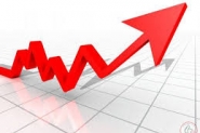 الإحصاء: ارتفاع أسعار المنتج بنسبة 0.37% خلال شهر ...