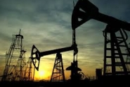 البنك الدولي: انخفاض أسعار النفط فرصة لتقييم الدعم ...