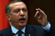 اردوغان: سنجد مصادر بديلة للغاز والنفط الروسي