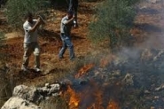 مستوطنون يحرقون عشرات الدونمات شرق نابلس