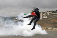 تقرير الموقف اليومي - فلسطين المحتلة