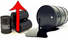 النفط يرتفع بفعل واردات هندية قياسية وآمال تقييد ا ...