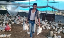 انخفاض أسعار الدجاج في غزة لـ 11.5 شيقلا