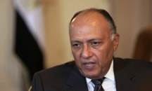 وزير خارجية مصر: بعض الدول تستغل حادث الطائرة للتأ ...