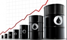 هل سيؤثر إنهيار سعر النفط على المنح الخليجية لمصر؟