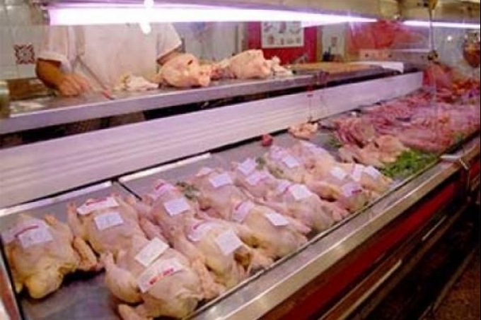 غزة: تحديد سعر كيلو الدجاج بـ 10 شواقل