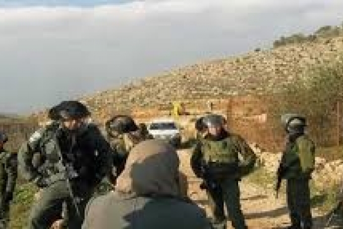 الاحتلال يخطر بالاستيلاء على عشرات الدونمات في بلدة سلوان
