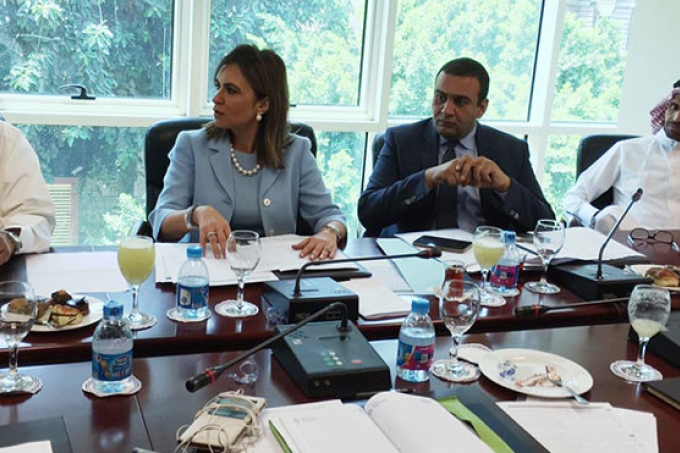 مصر تعلن بدء تنفيذ برنامج “خادم الحرمين” لتنمية سيناء