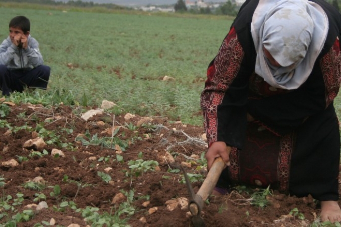 الاحصاء الفلسطيني يصدر بياناً صحفياً بمناسبة يوم المرأة العالمي
